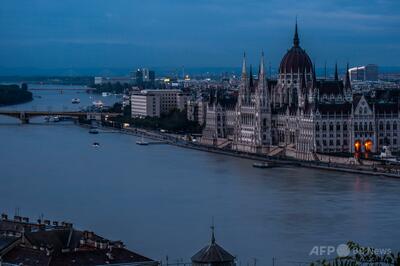 劣悪な環境で猫100匹飼育、女に動物虐待罪で禁錮10月 ハンガリー