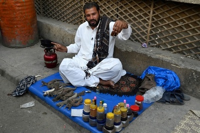 トカゲの「媚薬」、人気も科学的根拠は皆無 パキスタン