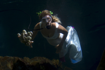 サメも2人の愛を祝福？ 水族館で水中結婚式