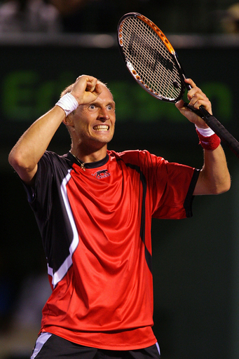 ダビデンコ ロディックに勝利し決勝進出