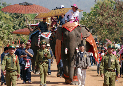 ゾウの個体数減少に歯止めかけよ、希望託すエコ・ツーリズム - ラオス