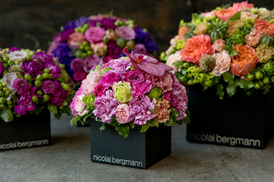 ニコライ バーグマン、フラワーボックスに続く新シリーズ発売