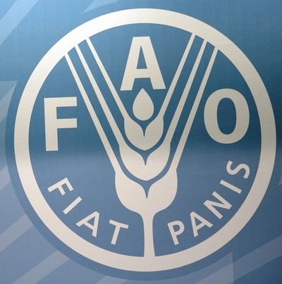 FAOの食料価格指数、8か月連続上昇 最高値更新