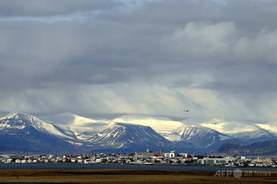 アイスランドで初めて蚊を確認 研究者は温暖化との関係疑問視