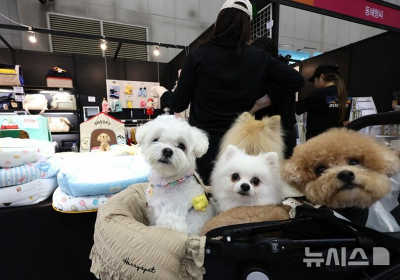 写真は記事の内容とは関係ありません(c)NEWSIS