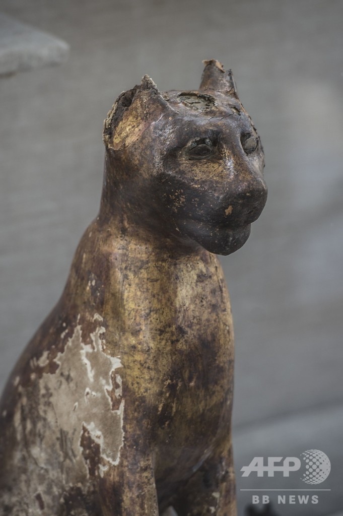 猫のミイラや銅像など発見、エジプト古代都市サッカラの遺跡