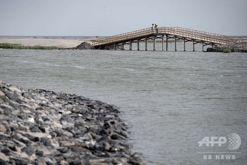 野生生物を呼び戻す、オランダで人工島建設
