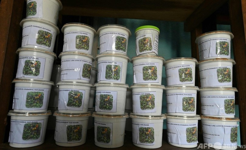 有機農業でさようなら貧困 コートジボワールの女性たち