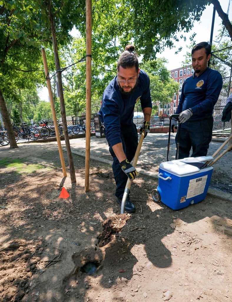 ネズミ駆除の新しい武器はドライアイス、米ニューヨーク