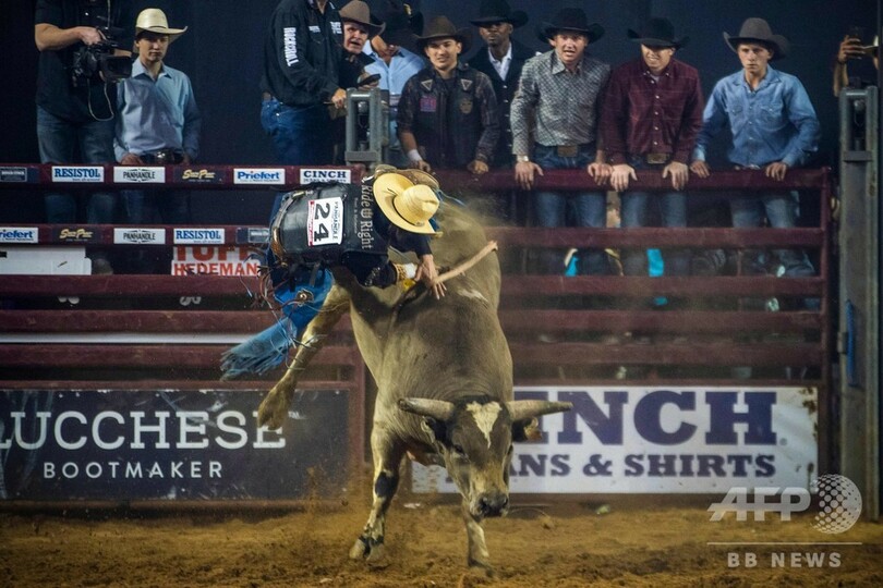 8秒ってこんなに長かった 暴れ牛にまたがるロデオ大会 米テキサス 写真15枚 国際ニュース Afpbb News