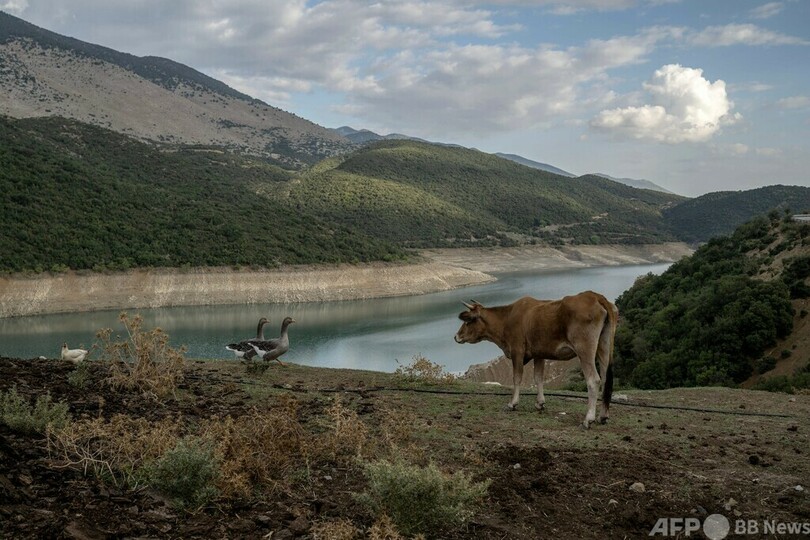 水位が下がったダム湖「モルノス湖」（2024年9月1日撮影）。(c)Angelos TZORTZINIS / AFP