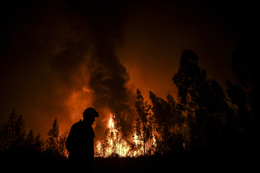 ポルトガル中部で山火事 消防隊員1700人が消火活動 写真10枚 国際ニュース Afpbb News