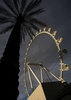米ネバダ（Nevada）州ラスベガス（Las Vegas）にオープンした高さ世界一の観覧車「ハイローラー（High Roller）」（2014年4月11日撮影）。(c)AFP/JOE KLAMAR