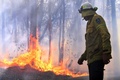 豪ニューサウスウェールズ州北部で、落雷によって発生したとみられる森林火災の現場で消火活動に当たる消防隊員（2019年11月2日撮影）。(c)SAEED KHAN / AFP