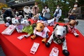 東京都内の神田明神で行われた「アイボの七五三」で展示されたアイボ（2021年11月12日撮影）。(c)Kazuhiro NOGI / AFP
