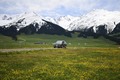 ナラティ風景区を走る車（2019年5月24日撮影）。(c)Xinhua News
