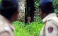 インド西部ムンバイ（Mumbai）で先週発生した取材中の女性カメラマン（23）が集団レイプされた事件で、地元警察当局は28日、事件現場となった再開発予定の廃工場で5人の容疑者立ち会いのもと現場検証を行った。

この事件を巡って世論の怒りが拡大する中、ムンバイの警察トップが、人前でのキスを許容するような「乱れた文化」か、もしくは「道徳の取り締まり」によって安全が維持される街のどちらが良いかを人々は選択しなければならないと発言し、さらなる怒りを呼んでいる。

写真は、現場検証する警察官（2013年8月28日撮影）。(c)AFP/Indranil MUKHERJEE