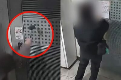 マンションの騒音トラブル、玄関をハンマーでたたく行為も…韓国・家族が契約途中で転居
