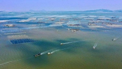 海洋生態を整備したことで漁業と観光業の融合型発展が実現＝中国福建省漳州市