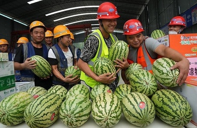 中国の農民工 2億9000万人超に