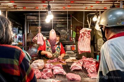 台湾で初のアフリカ豚熱疑い例 感染拡大防止で195頭殺処分