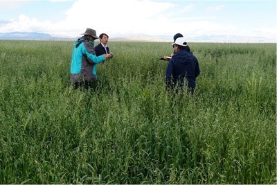 チベットで広がる人工植栽プロジェクト 環境と市民の生活に恩恵