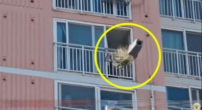 家族と離別、不満の脱北者が凶器とガス手に「娘連れて来い」と威嚇…特攻隊突入の緊迫場面