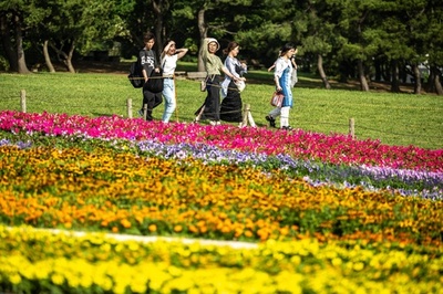 Kasai Rinkai Park in Tokyo