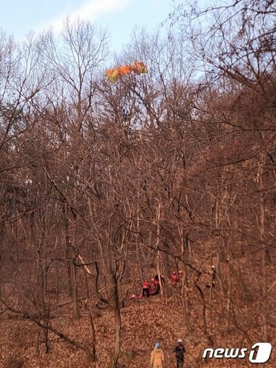 韓国でパラグライダー不時着…60代男性が野山の木に