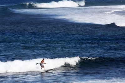世界の海の「健康度」インデックス、米カナダ調査