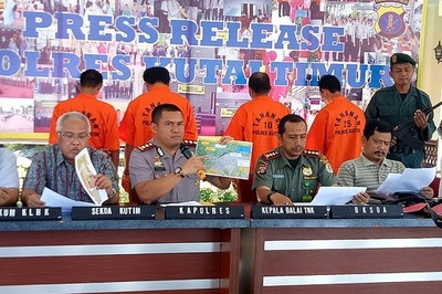 空気銃の弾130発、オランウータンに浴びせた男4人逮捕 インドネシア