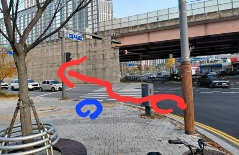 ボベドリーム(c)news1