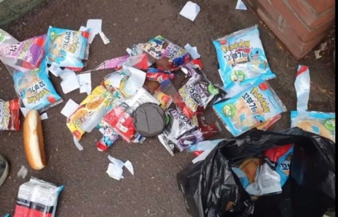 道端に捨てられたポケモンパン（オンラインコミュニティーより）(c)MONEYTODAY