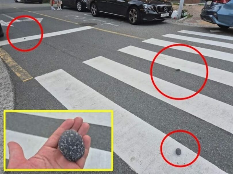 オンラインコミュニティ「ボベドリーム」(c)MONEYTODAY