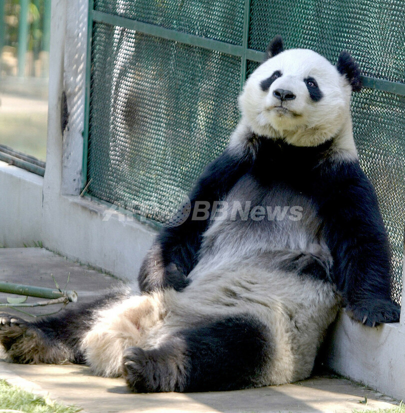 メキシコ市の動物園、世界有数の活況ぶり - メキシコ