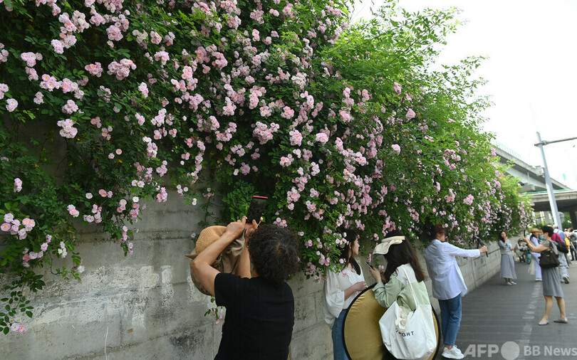 2024年の新一級都市に15都市が選出 中国