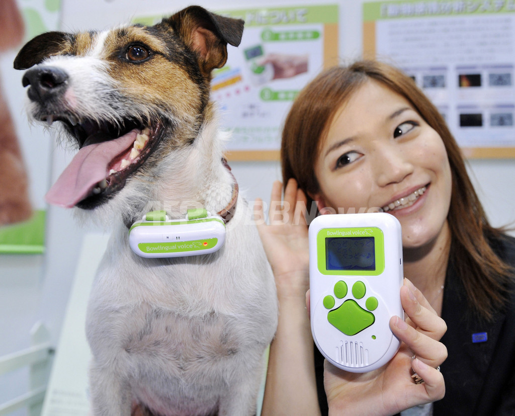 犬語翻訳機「バウリンガルボイス」、グレードアップ版登場 写真4枚 ファッション ニュースならMODE PRESS powered by AFPBB  News