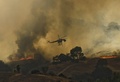 米カリフォルニア（California）州ロサンゼルス（Los Angeles）市郊外カラバサス（Calabasas）で18日、高速道路101号線付近で山火事が発生し、ロサンゼルス郡消防当局によるとこれまでに16～20ヘクタールが焼けた。火事の原因は北行きの車線で起きた自動車火災だとされ、消防当局が地上と空から消火活動にあたっている。

写真は、延焼する山火事と消火にあたるヘリコプター（2013年8月18日撮影）。(c)AFP/JOE KLAMAR