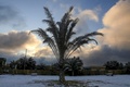 イラクの聖地カルバラにある雪の積もった公園（2020年2月11日撮影）。(c)Mohammed SAWAF / AFP