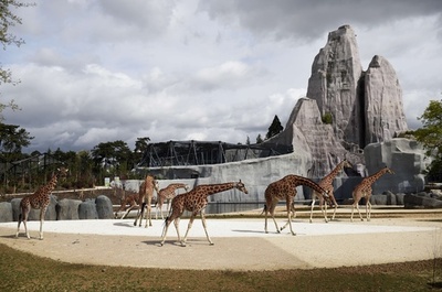 パリの動物園、240億円かけ大改修 「人類と動物の共生」に重点