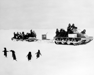 ペンギンの「性的堕落」に戦慄、100年前の南極探検隊員 英研究