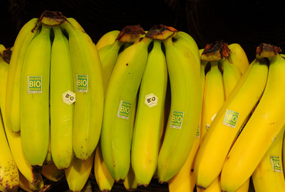 バナナの皮からプラスチック、トルコの女子高生に科学賞