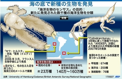 【図解】発見された新種の海洋生物