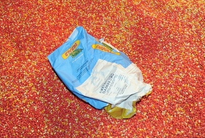 米国、遺伝子組み換え作物への規制を「不必要」と批判