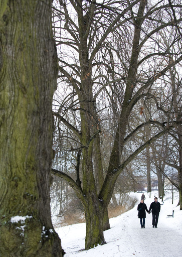 夫婦に「デートの日」を、離婚防止になるとノルウェー閣僚