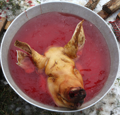 ブタ肉さばきの腕競う、肉切り職人フェスティバル ウクライナ