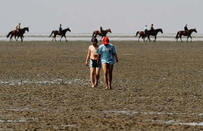 人の心を癒す「馬セラピー」、自閉症や麻薬中毒治療にも効果的