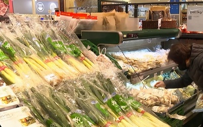 韓国の中国産長ネギ輸入量、760％以上も増加
