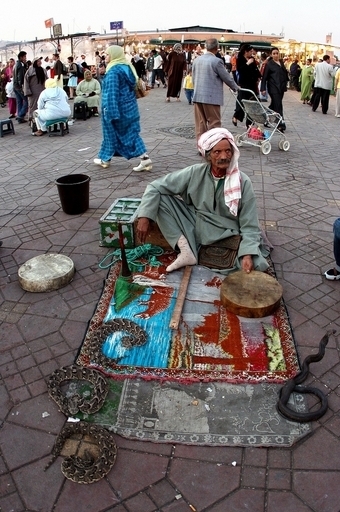 ヘビ使いショーは「ヘビの虐待」と、動物愛護団体がボイコット運動