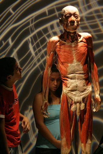 賛否両論? 実物人体標本の展覧会、チリの首都で開催